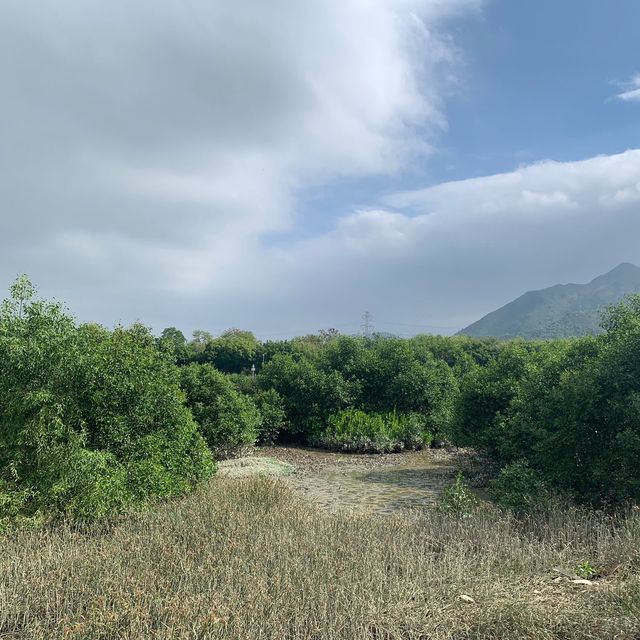 南生圍河流導賞徑 南生圍河流導賞徑