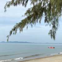 สวนสน จังหวัดระยอง