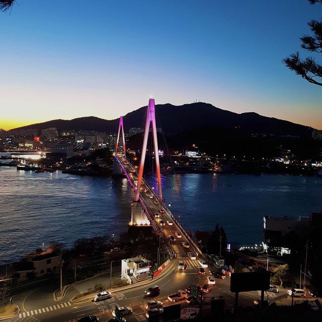돌산대교를 한 눈에 볼 수 있는 돌산공원
