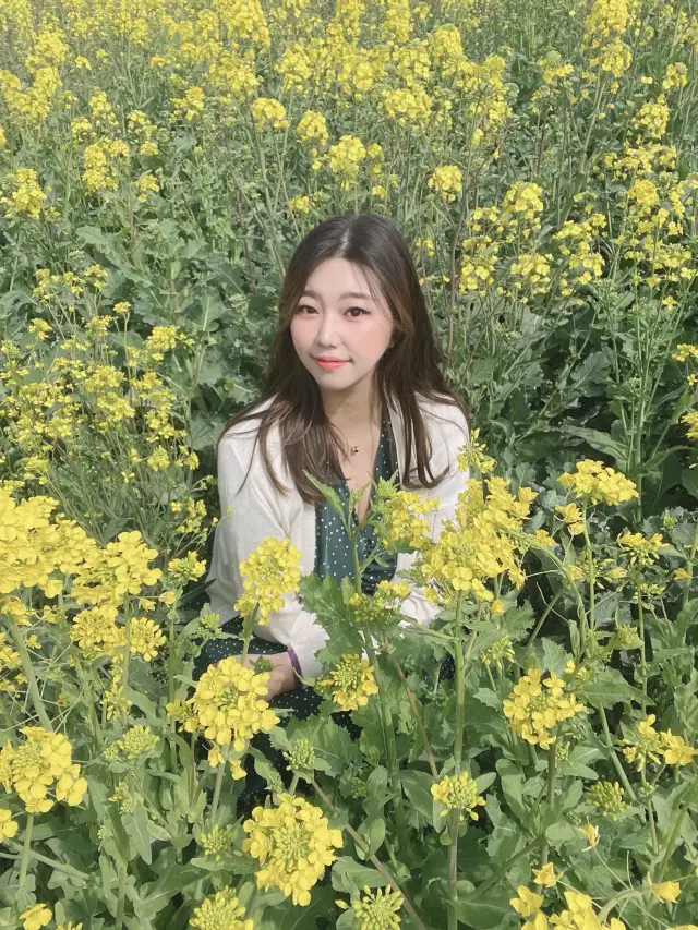 포항항에서 만난 노오란 유채꽃밭 🌼💛