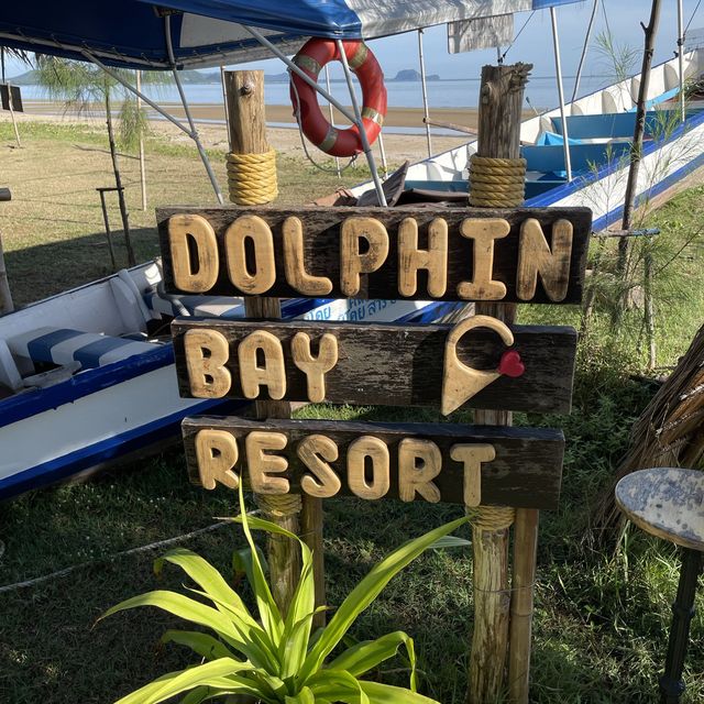 Dolphin bay @ปราณบุรี