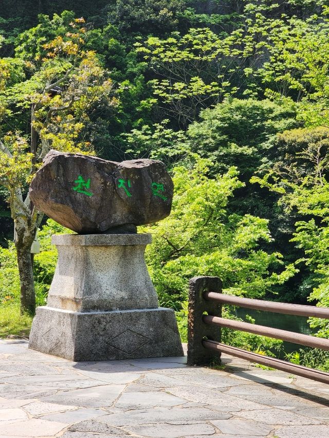 서귀포 힐링 산책길 천연기념물 천지연폭포💧