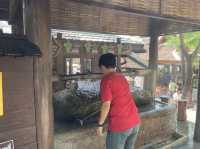 ม่อนกุเวร เชียงใหม่ ม่อนของสายมู