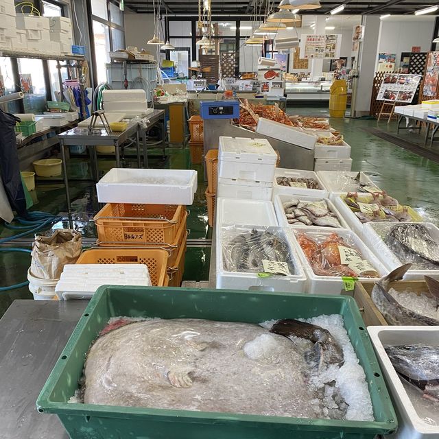 兵庫県・山陰香住「にしともカニ市場」観光立寄りにおすすめ