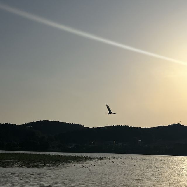 가족끼리 나들이 다녀오기 좋은 아산 신정호 ☺️