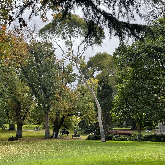 สวนสาธารณะ flagstaff, CBD Melbourne 🛋️🌳