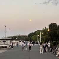 【横浜】夕方みなとみらい散歩・山下公園を散策