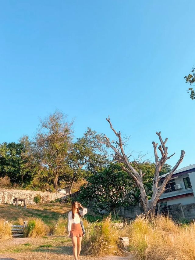 คาเฟ่ฟีลเกาหลีเกาใจ ที่ Hidden Lab | Bangsaen 🌊
