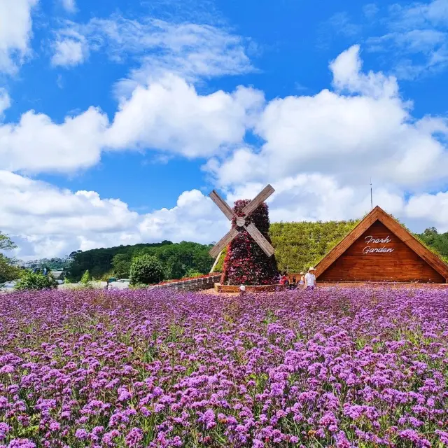 Pretty Fresh Garden in Da Lat