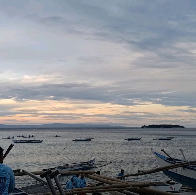 Oslob ~ swim with whale shark 