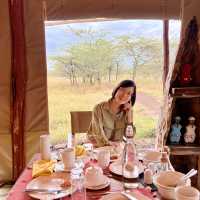 Breakfast in the African bush