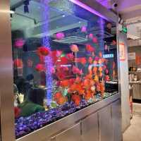 內地大熱的網紅火鍋店!朱光玉火鍋館

