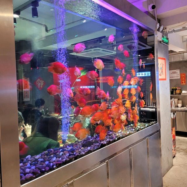 內地大熱的網紅火鍋店!朱光玉火鍋館

