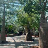 新加坡Flower dome：自然奇蹟的花園天堂