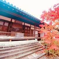 嵐山秋色最美，常寂光寺最動人