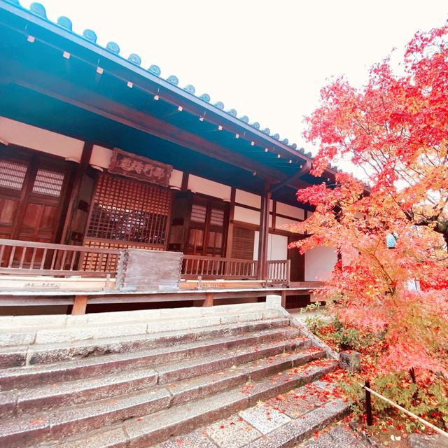 嵐山秋色最美，常寂光寺最動人