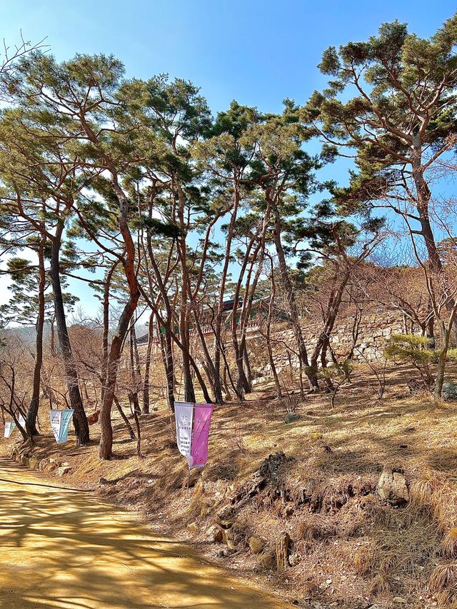 강화도 가볼만한곳 “전등사”🙇🏻‍♀️