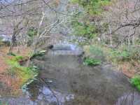 ทะเลสาบคินริน Kinrin Lake 