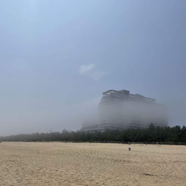 낮과 밤이 예쁜 강문해변