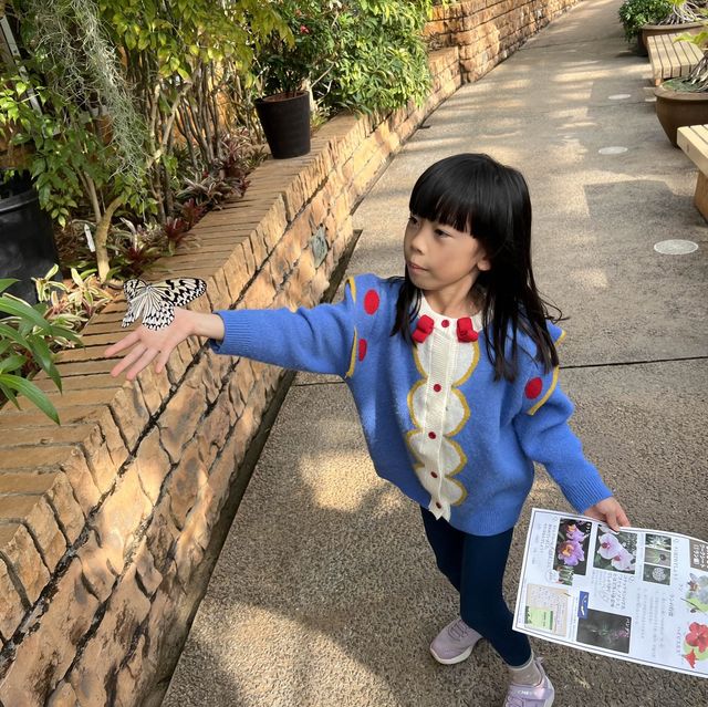 #沖繩最大鬱金香特展