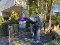 東京・上野。やっぱり『パンダ』の人気は絶大。日本で最初の動物園『上野動物園』