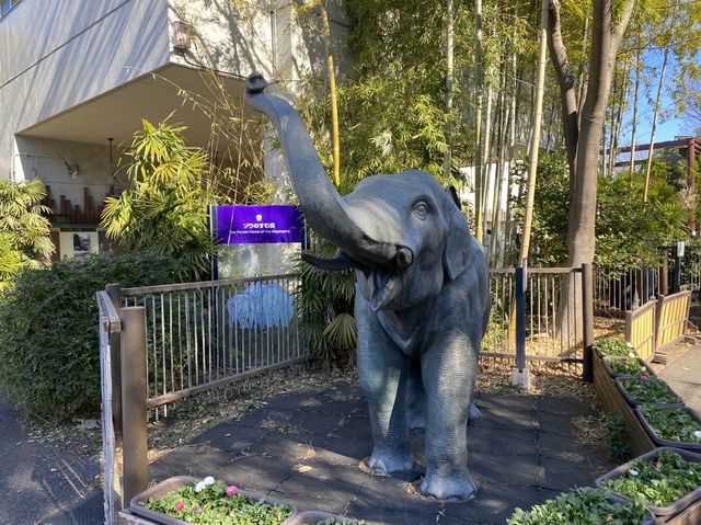 東京・上野。やっぱり『パンダ』の人気は絶大。日本で最初の動物園『上野動物園』
