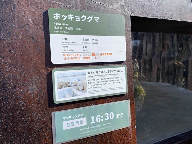 東京・上野。やっぱり『パンダ』の人気は絶大。日本で最初の動物園『上野動物園』