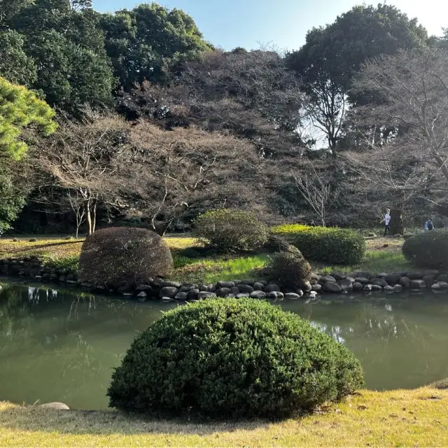 Shinjuku Gyoen National Garden on a sunny afternoon 