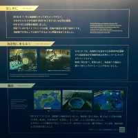 イトマキエイの観察ができるのは世界中探しても海遊館のみ！