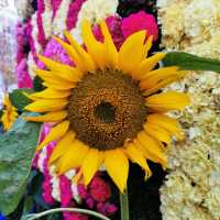 Hong Kong Flower Show 