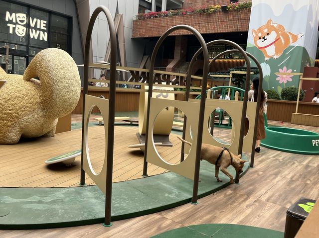 小小寵物同樂園 @ 沙田新城市廣場 小小寵物同樂園 @ 沙田新城市廣場