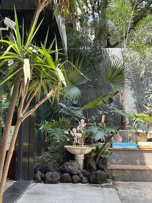 南頭古城內的出片率極高後花園🌴🌸🌳🌼☘️🌺🌱