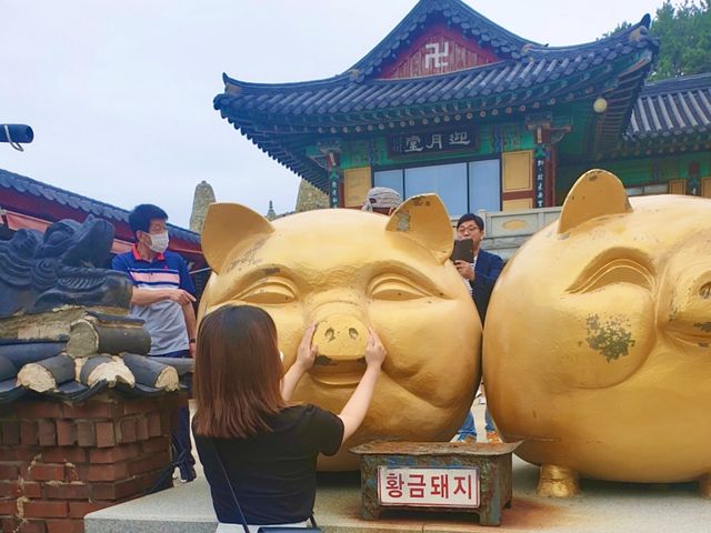 우리나라 3대 관음성지, 경관이 아름다운 해안사찰을 소개합니다 :)