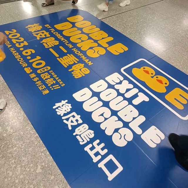 必睇必影 黃色鴨