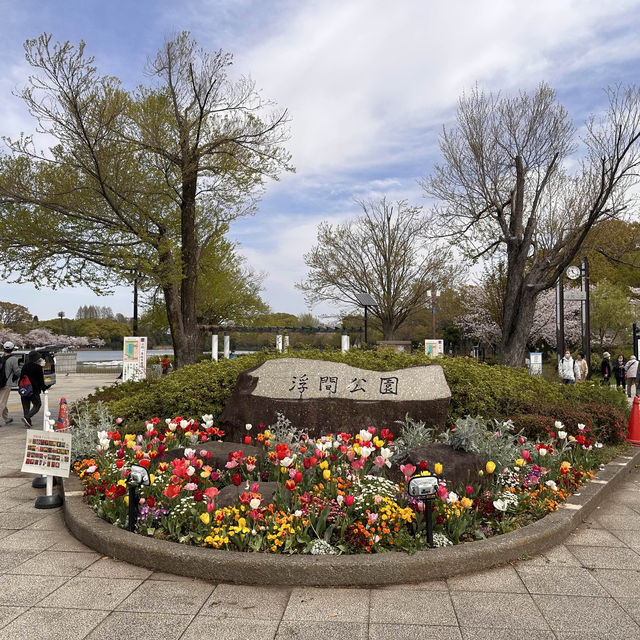 一個好有外國氣息而且好寧靜既賞花公園