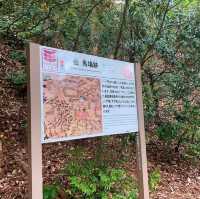 เที่ยวปราสาทกิฟุ (Gifu Castle) 🏰 