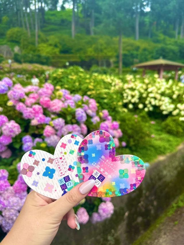 【京都】紫陽花スイーツ♡三室戸寺内カフェ〜花の茶屋〜
