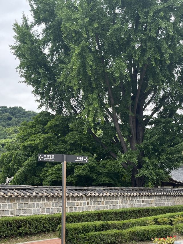 수원 행궁동 서울 근교로 떠나는 여행 🌿