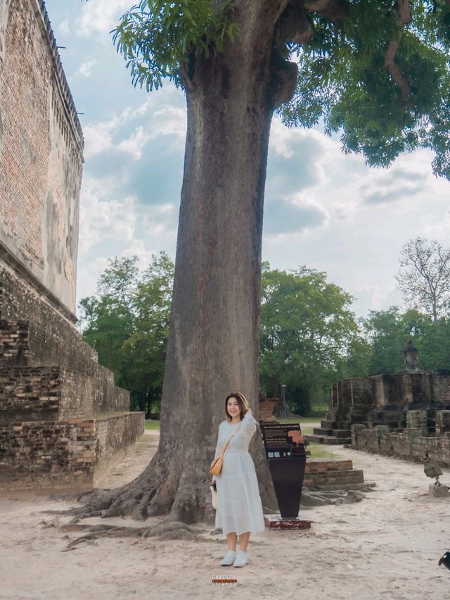 พระพุทธอจนะพระพูดได้อันศักดิ์สิทธิ์แห่งกรุงสุโขทัย