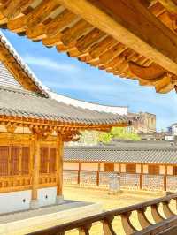 사람들이 모르는 전주 한옥 포토스팟!!!📸