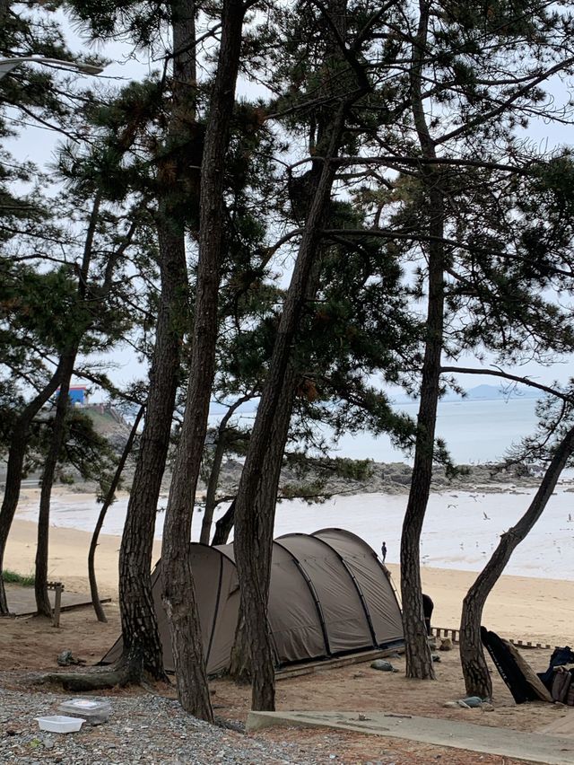 뷰맛집 캠핑장에서 태안 바다를 원 없이~