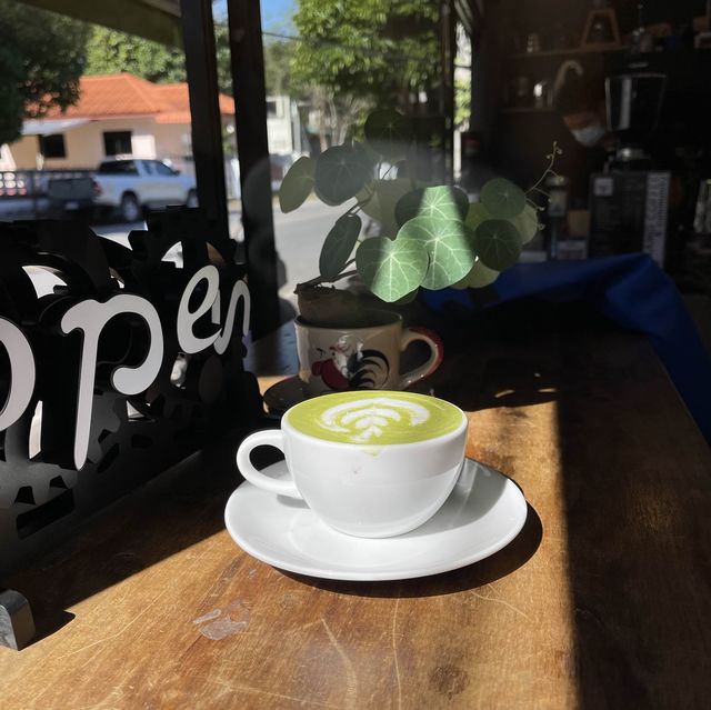 กาแฟดี ร้องขอชีวิต!! ติดริมทางวัดพระธาตุดอยสะเก็ด