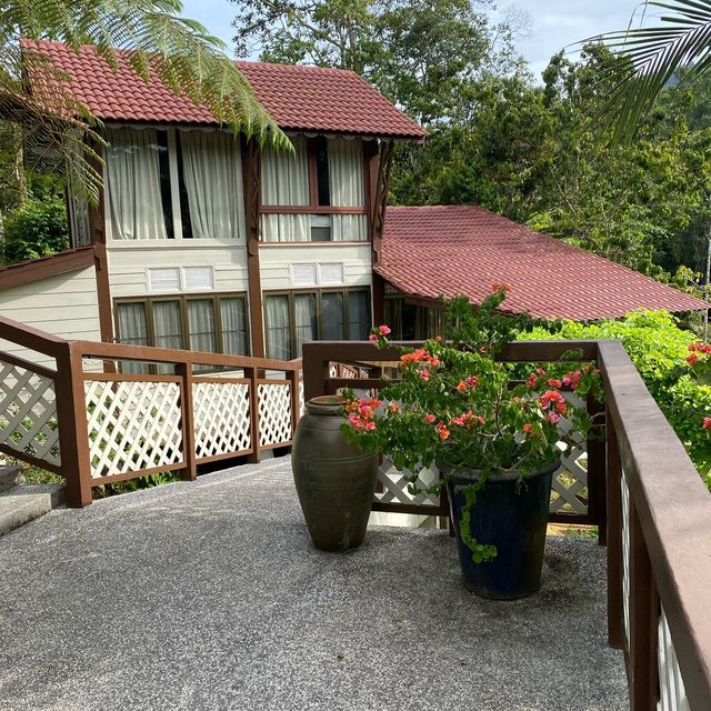 Beautiful resort in the nature, Fifty4Fern