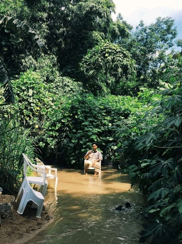 คาเฟ่กลางป่า☘️ วิวภูเขาล้อม แต่อยู่ใกล้ทะเล🌊