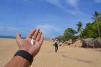 หาดแฆแฆ