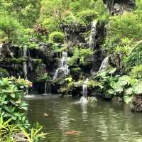🏯🌸 禪意園林美境～清暉園博物館🍃🎋