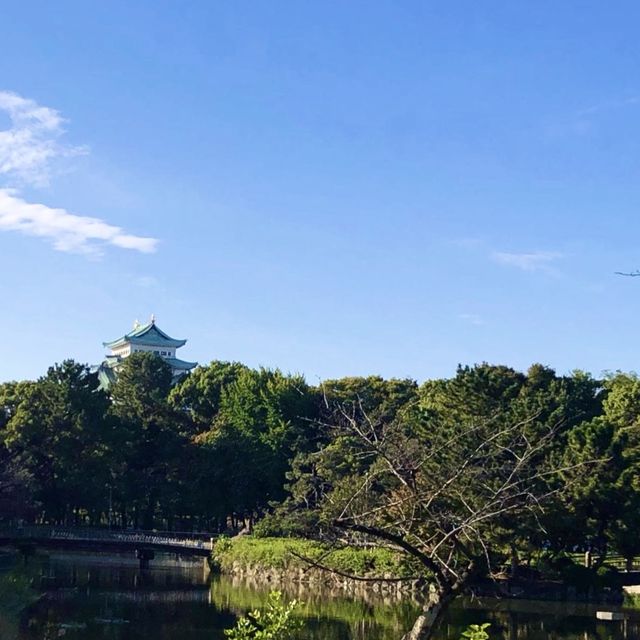🏞️ 나고야 여행을 하며 한적하고 쉬어가기 좋은 곳, 포근한 메이조 공원🧡