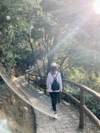 觀賞青馬大橋的行山之旅