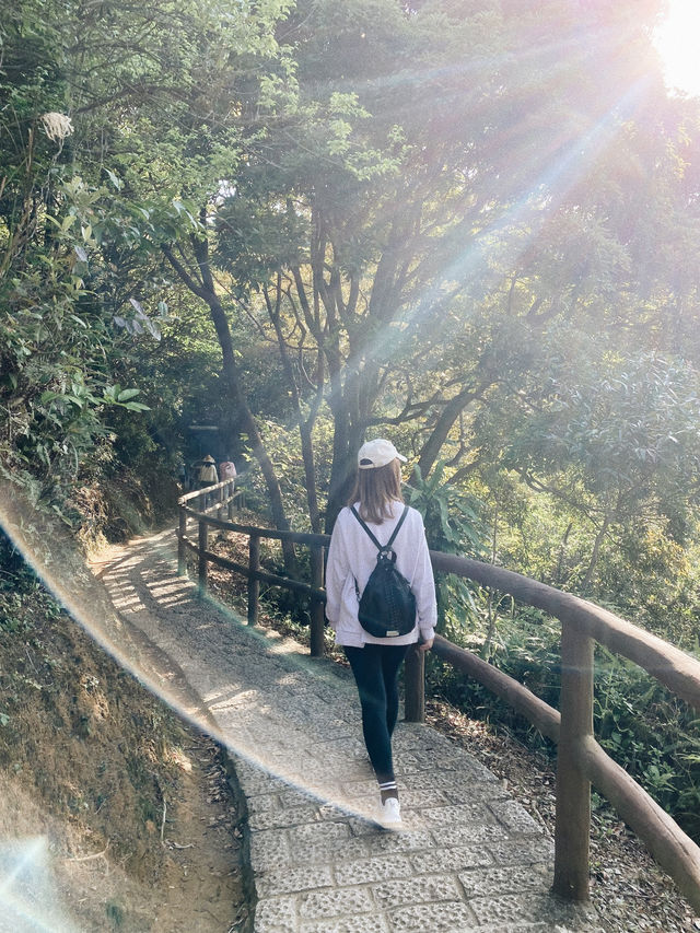 觀賞青馬大橋的行山之旅