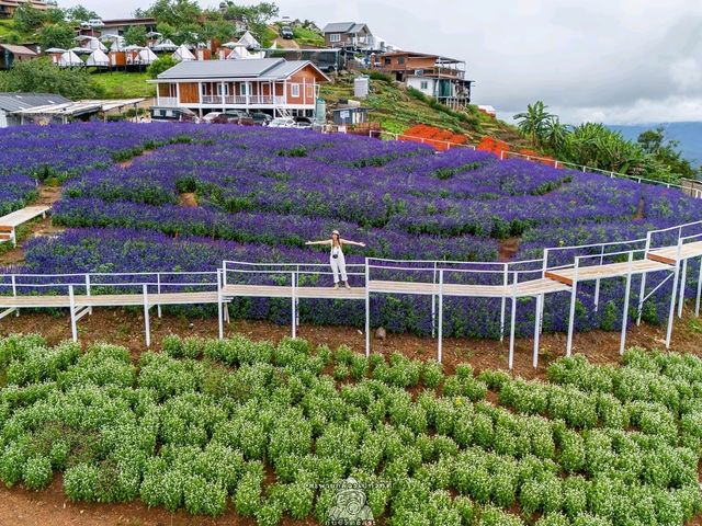 ยิ่งยงสวนดอกไม้ ม่อนแจ่ม เชียงใหม่